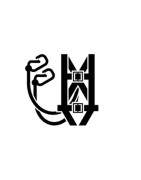 Protección al Cuerpo